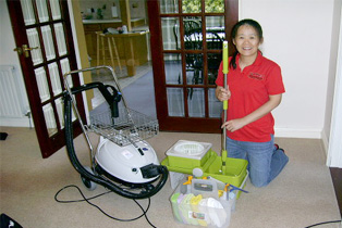 Bafang 8 points cleaning services Cornwall